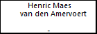 Henric Maes van den Amervoert