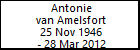 Antonie van Amelsfort