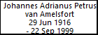 Johannes Adrianus Petrus van Amelsfort