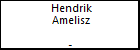 Hendrik Amelisz